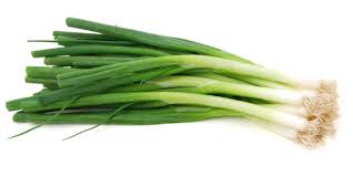 SPRING ONION PACKET